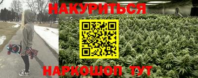 стаф Заволжье