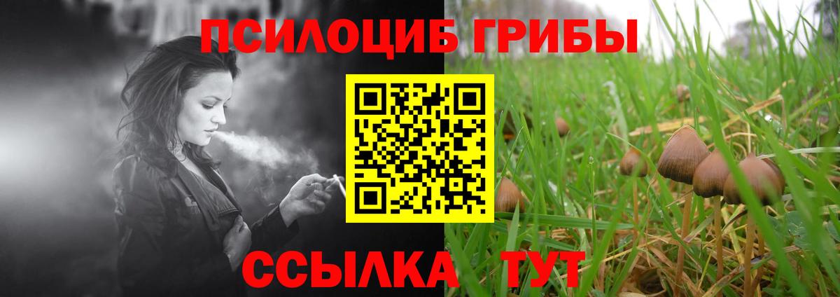 Псилоцибиновые грибы GOLDEN TEACHER  Псилоцибиновые грибы Psilocybe  Вход с VPN  Ливны 